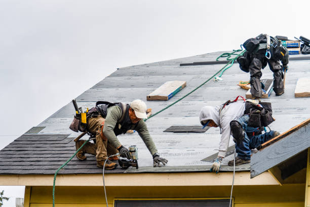 Professional Roofing technician working in Tate, GA